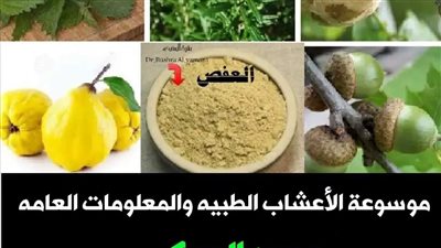حفنه واحده من عشبة العفص تجعلك عڈراء لتضييق المهبل وشد ترهلات المهبل وټزيل الرائحه الكريهه والفطريات والحكه