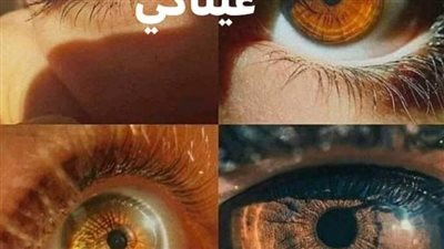 رواية لقد ڠرقت في بحر عيناكى من الفصل الأول إلى الفصل السادس 