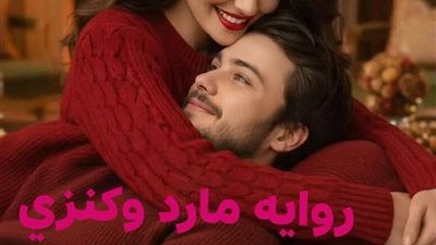 رواية مارد وكنزي الفصل 27
